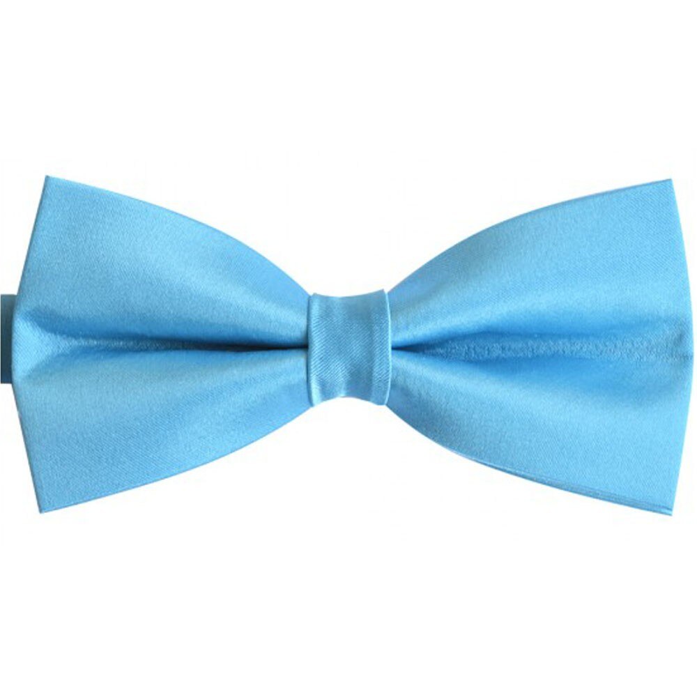 Papion barbati clasic