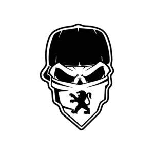 Accesorii auto tuning