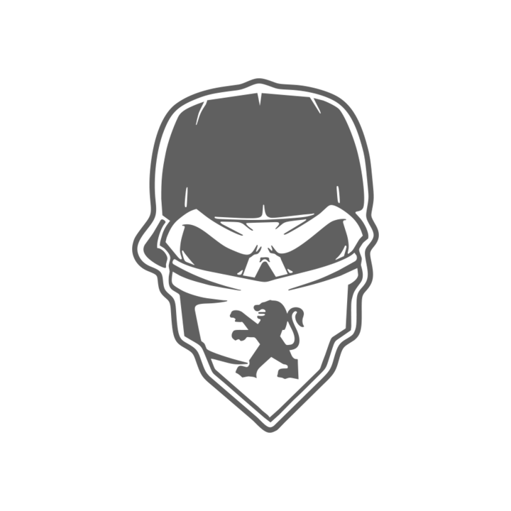 Sticker auto ''Skull gangsta peugeot'', 20x13cm, Gri