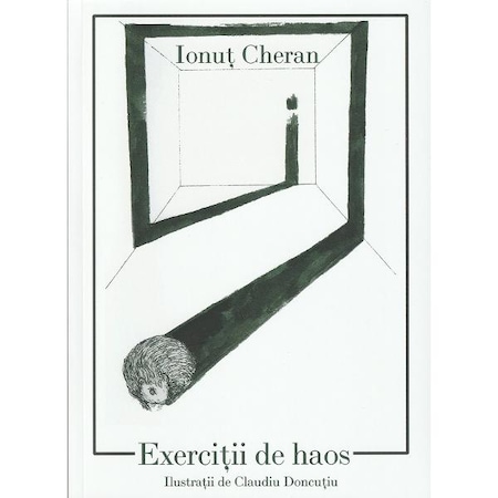 Exercitii de haos - Ionut Cheran