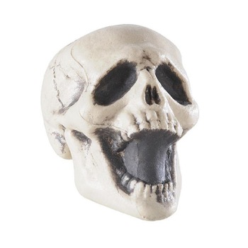 Decor Schelet Widmann 7873S Decor Schelet Widmann 7873S