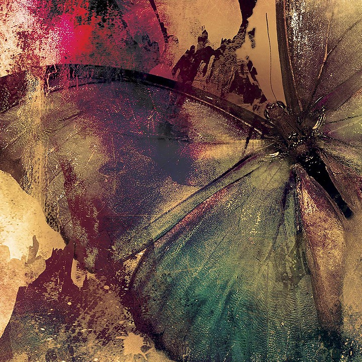 Sticla bucatarie, protectie aragaz, antistropi, imprimat UV, octopus, oct221-60x60