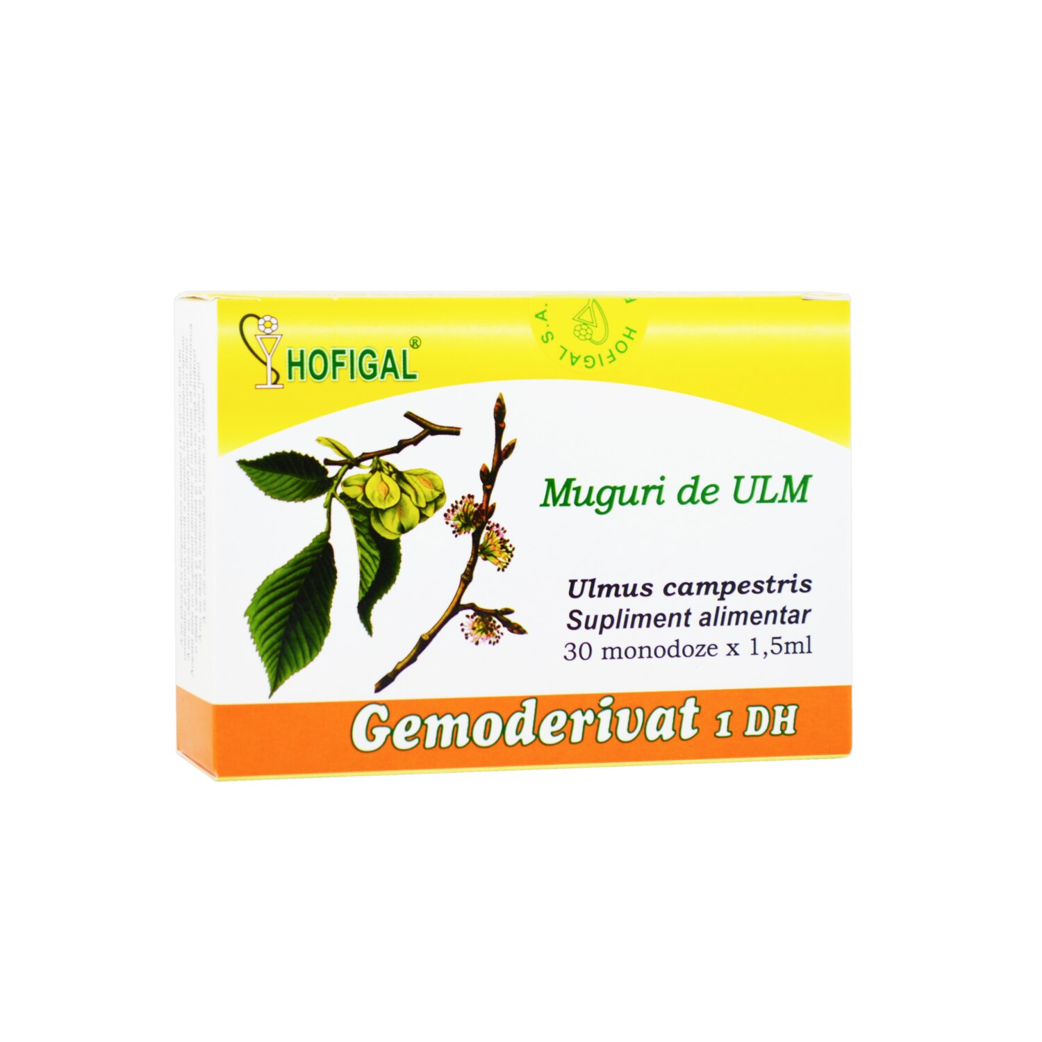 HOFIGAL, Muguri de Ulm 30monodz