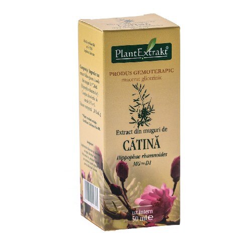 Extract din Muguri de Catina, 50 ml, Plant Extract