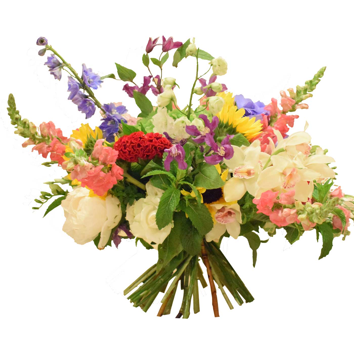 Buchet All that Jazz