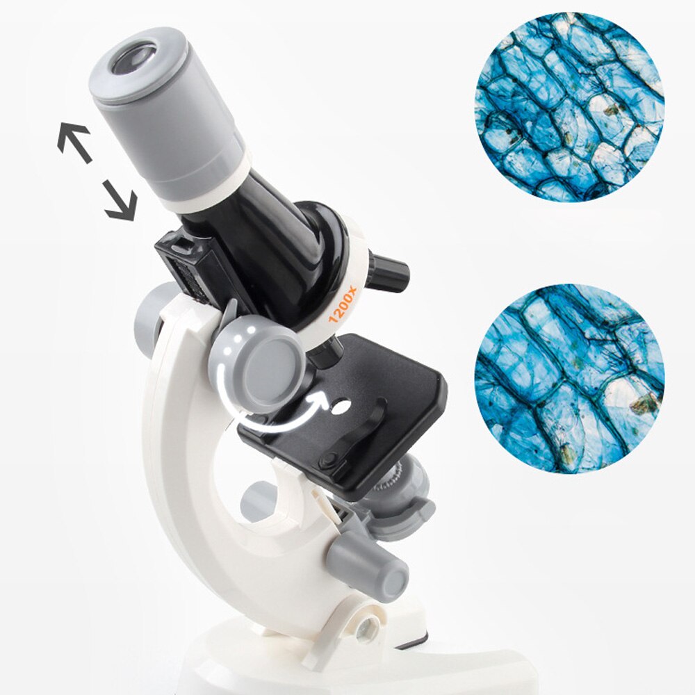 Safe crab Torches Microscop pentru copii, marire 1200x, 1.5 V, plastic, albastru - eMAG.ro