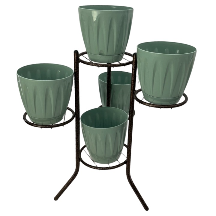 Set 5 ghivece flori Daisi verzi сu suport ghivece metalic maro