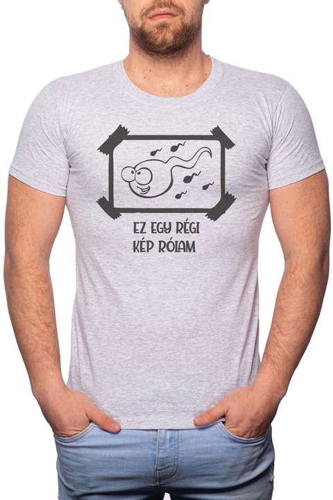 Régi kép, Normál fazonú feliratos férfi poló, 100% Pamut, 459, Szürke