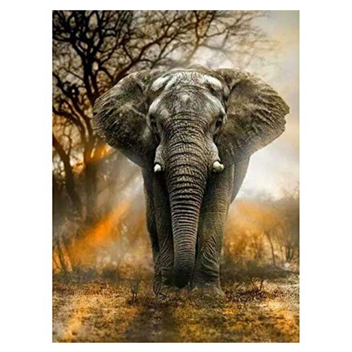 Kit pictura cu diamante 5D, Model elefant toamna, 30x40 cm, Multicolor