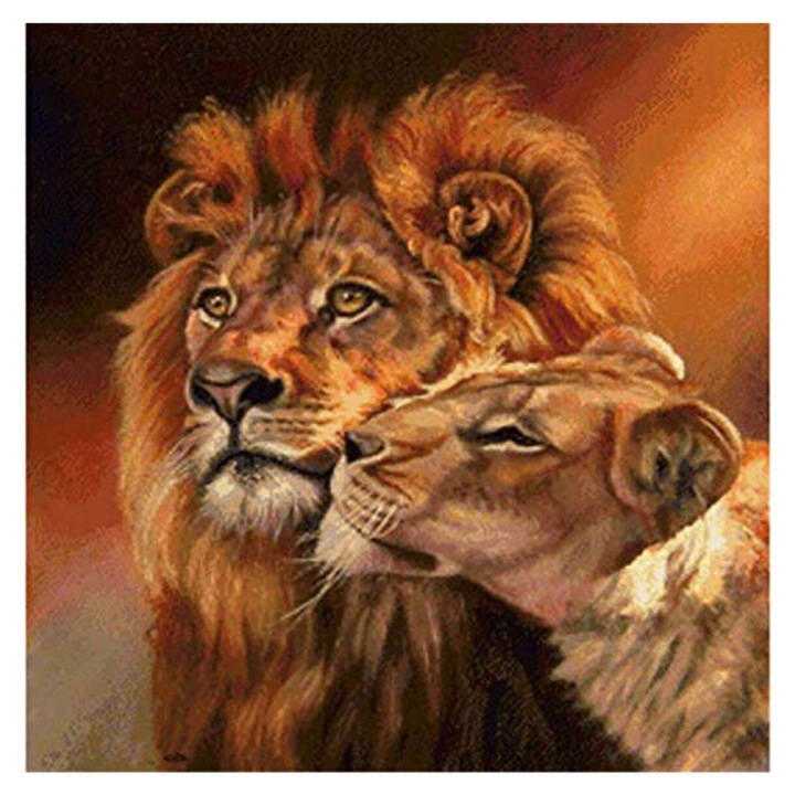 Kit pictura cu diamante 5D, Model lei, 35x35 cm, Multicolor