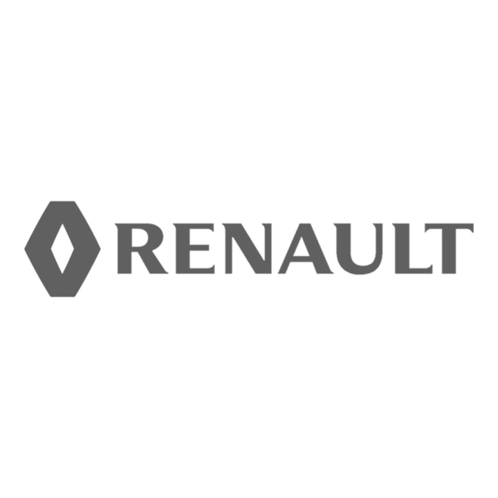 Set 4 stickere auto pentru maner usa Renault, 9x2 cm, Gri