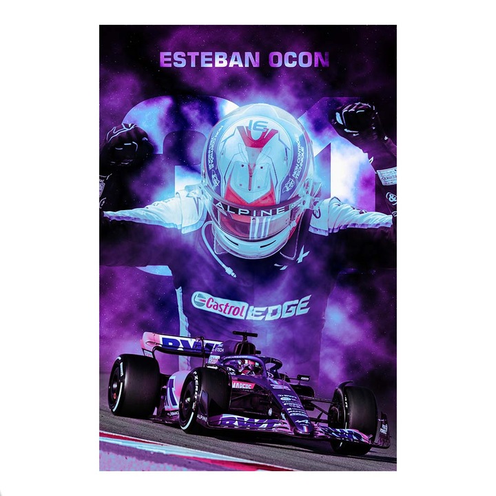 Tablou Canvas Esteban Ocon Formula 1 2022 39x58cm