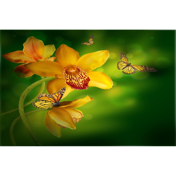 Картина на платно Жълти орхидеи, пеперуди, 90 х 60 см