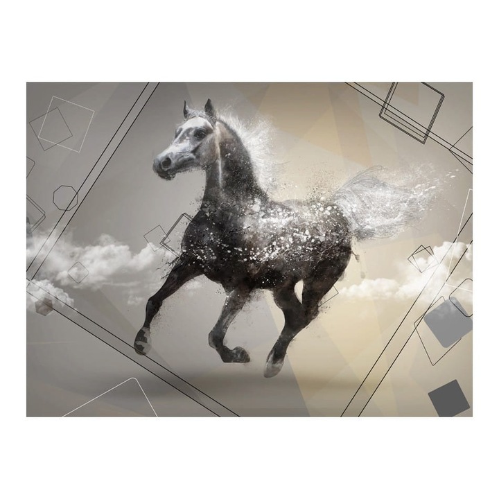 Nem szőtt tapéta nappaliba, hálószobába, menekülés álmokban - 400cm X 309cm, Használati útmutató, ragasztó