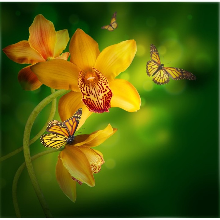 Картина на платно Жълти орхидеи, пеперуди, 70 х 70 см