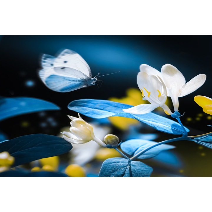 Tablou canvas Flori albe, fluture albastru, vara, gradina, 105 x 70 cm