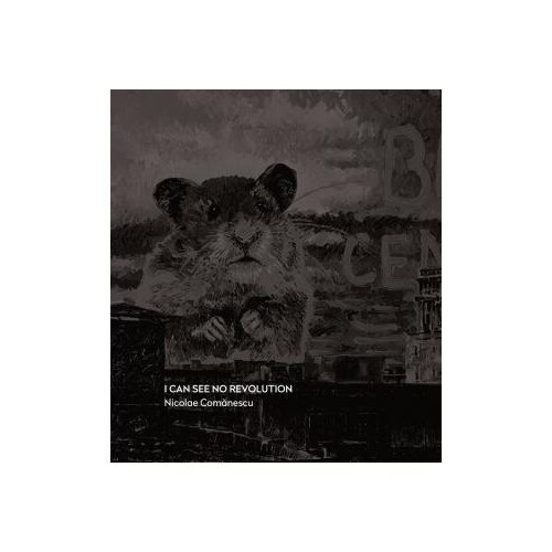 I can see no revolution - Nicolae Comanescu