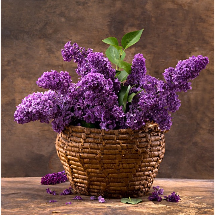 Tablou canvas Flori liliac, cos impletit, buchet2, 40 x 40 cm