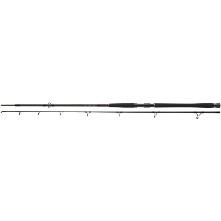 Lanseta Daiwa Exceller Catfish Boje 2.70M 200-600G