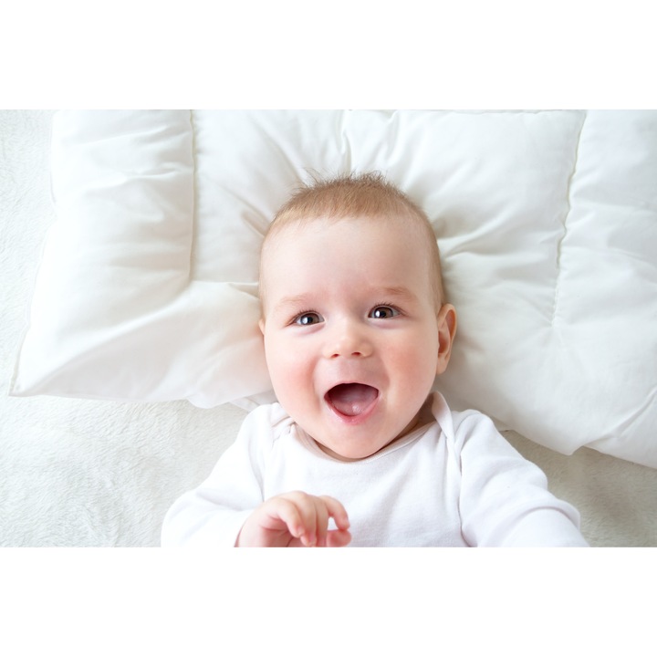 Perna Confort Lana Baby, 25 x 45 cm, umplutura LANA MERINOS si invelis Bumbac ORGANIC