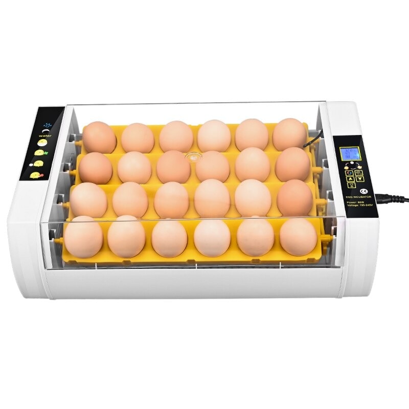 Автоматический инкубатор wq. Инкубатор для яиц Egg incubator. Egg incubator 16 яиц. Корейский инкубатор на 24 яйца. Инкубатор купить в Липецке.