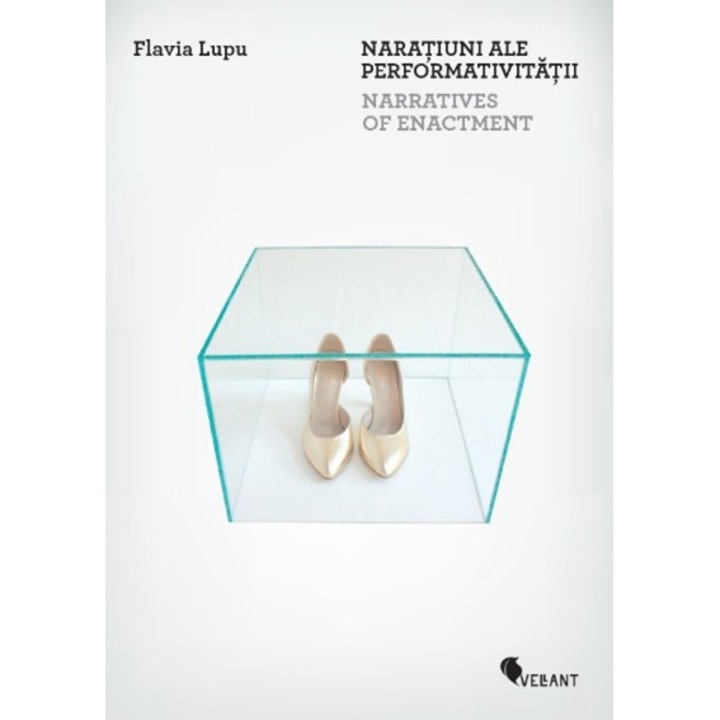 Naratiuni ale performativitatii/Narratives of Enactment, Flavia Lupu