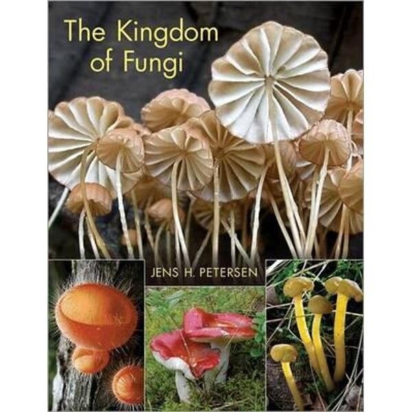 Kingdom of Fungi