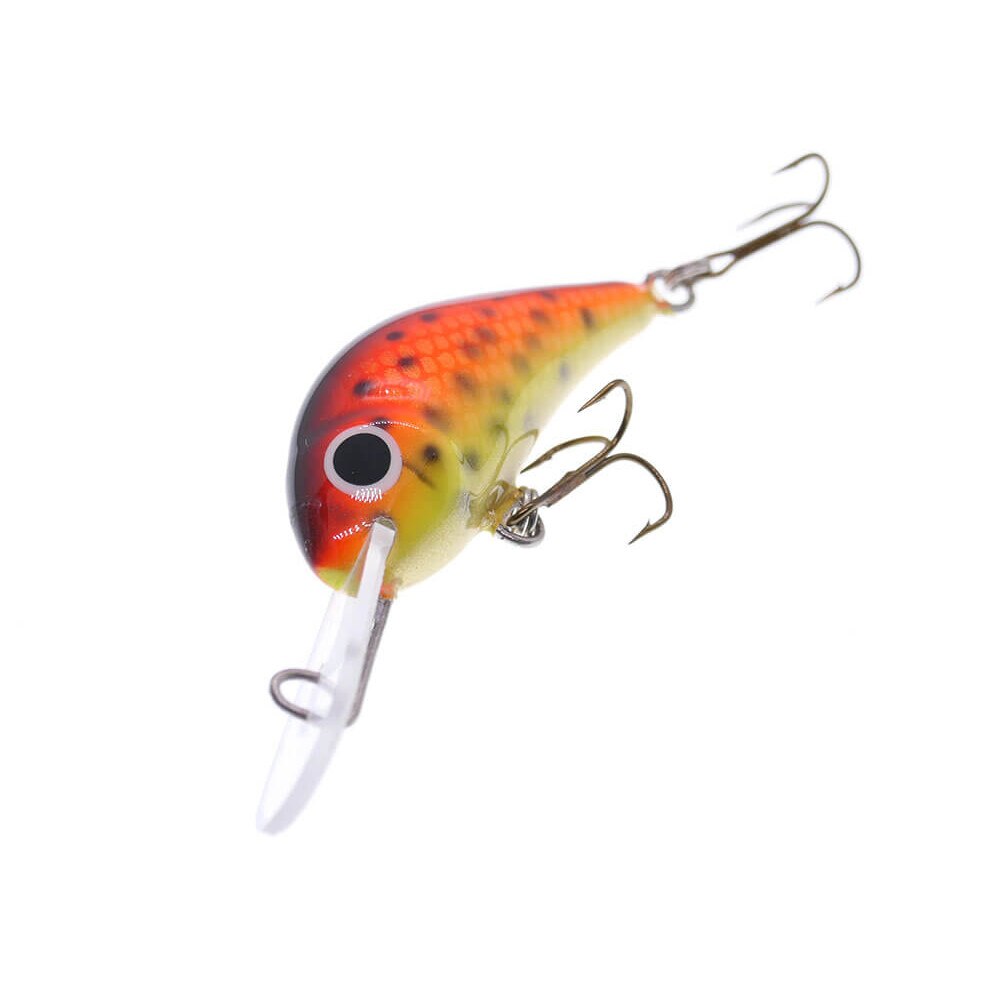 Storm - Original Wiggle Wart Watermelon