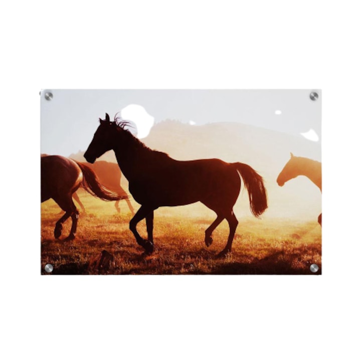 Tablou poster, Walljar, Cai in Wyoming, 150 x 225 cm