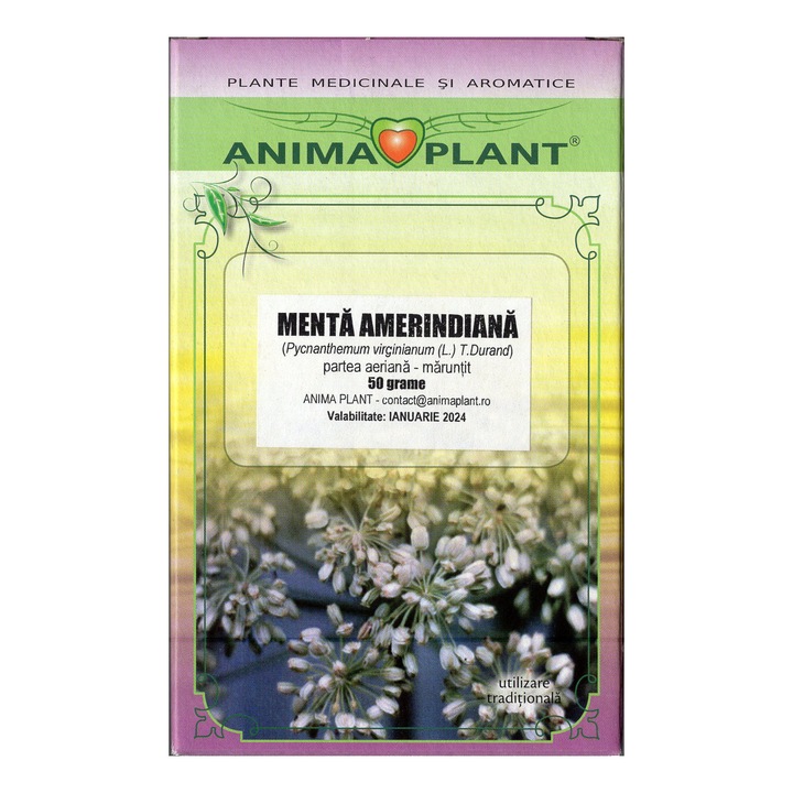 Menta amerindiana, Pycnanthemum virginianum, herba, planta maruntita pentru ceai, Anima Plant, 50 grame