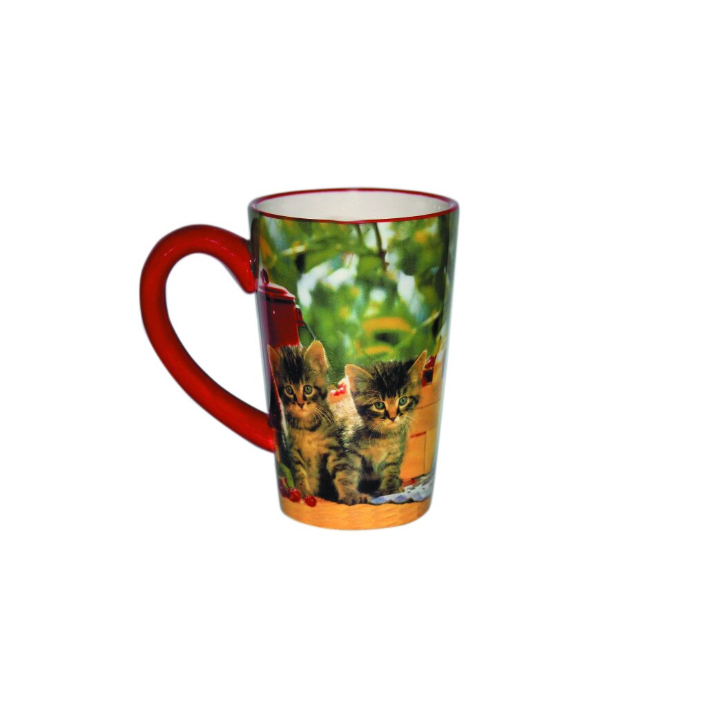 Cana Inalta Colectia Pisici Rosii