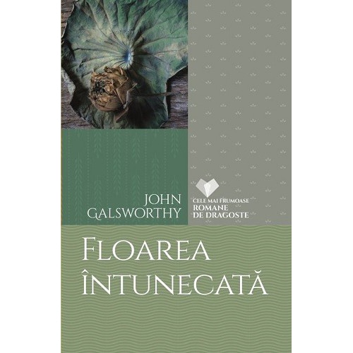 Floarea Intunecata - John Galsworthy