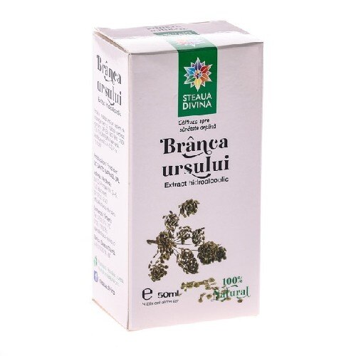 Tinctura Branca Ursului, 50 ml, Steaua Divina