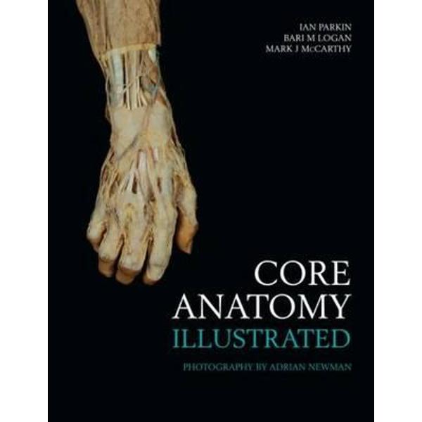 Core Anatomy - Illustrated