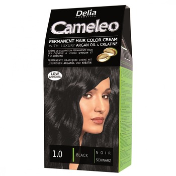 Vopsea de par Delia Cosmetics Cameleo, 1.0 Black Vopsea de par Delia Cosmetics Cameleo, 1.0 Black