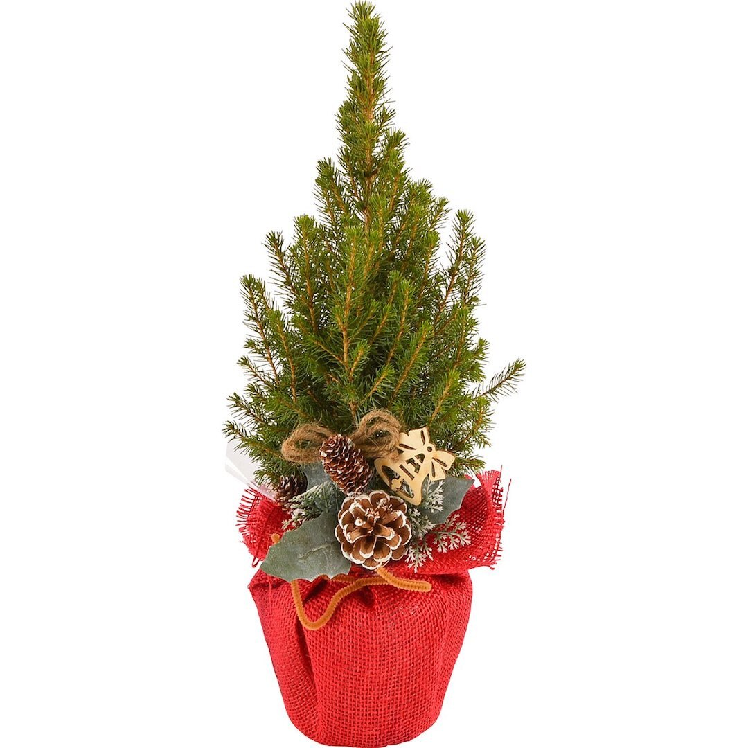 Bradut de Craciun cu 3 ornamente, Secret Garden