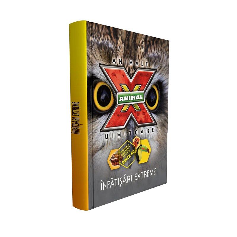 Recorduri extreme - Volumul 1