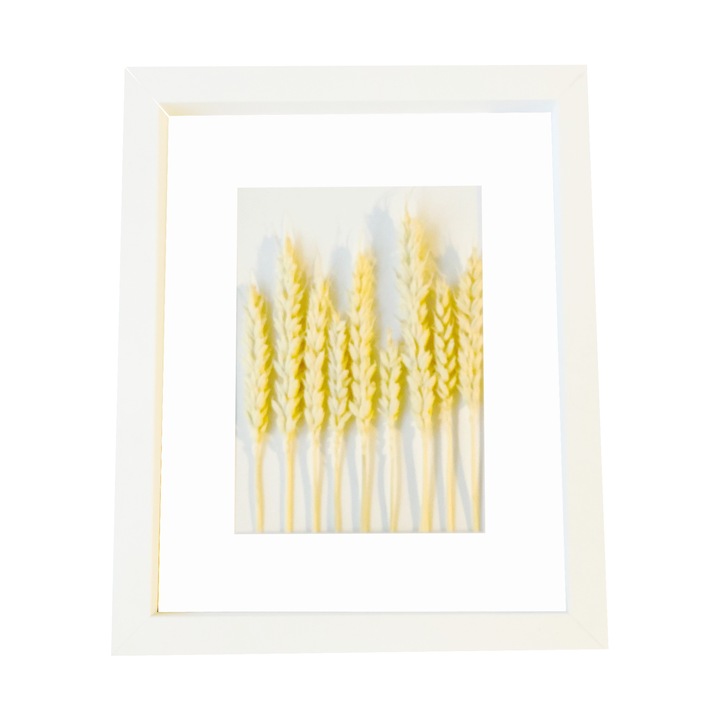 Tablou cu plante uscate, 3D, Alb/Galben, 25 X 30 cm