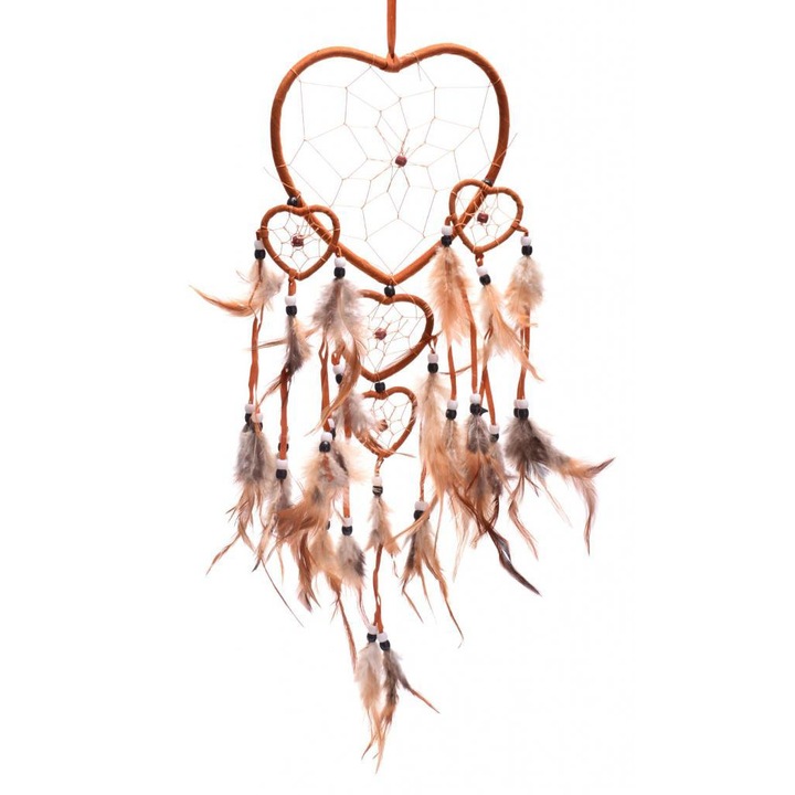 Капан за сънища, 5 Сърца, Кафяв