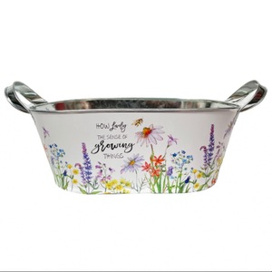 Ghivece si suporturi