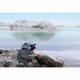 Drona DJI Mini 3 PRO, 48MP, 4K60