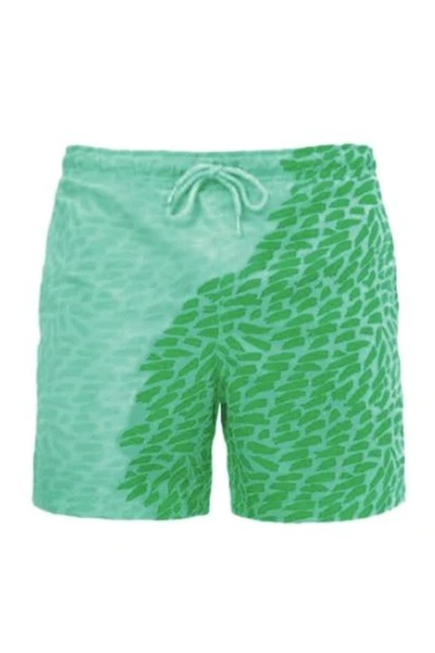 Мъжки плувни шорти, Син хамелеон, Абстрактен геометричен принт, Бързосъхнещ, Зелен