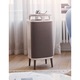DustMagnet légtisztító, 5240i, 22W, 520 x 220 x 220 mm