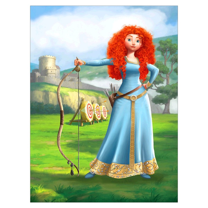 Kit pictura cu diamante 5D, Model Merida, 30x40 cm, Multicolor