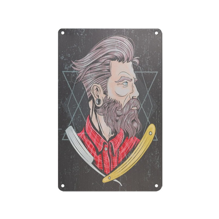 Tablou decorativ Barbier B079, Activeshop, Aluminiu, Multicolor