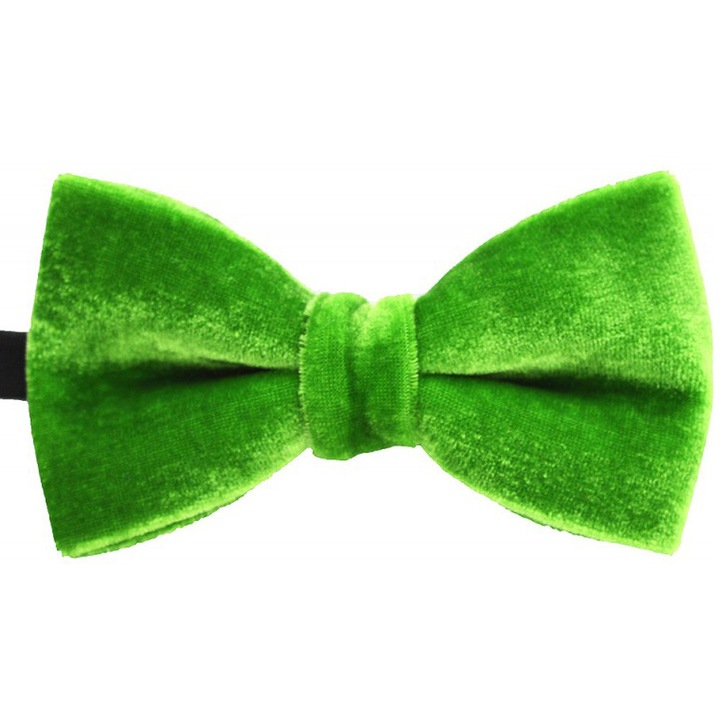 Papioan catifea verde clasic