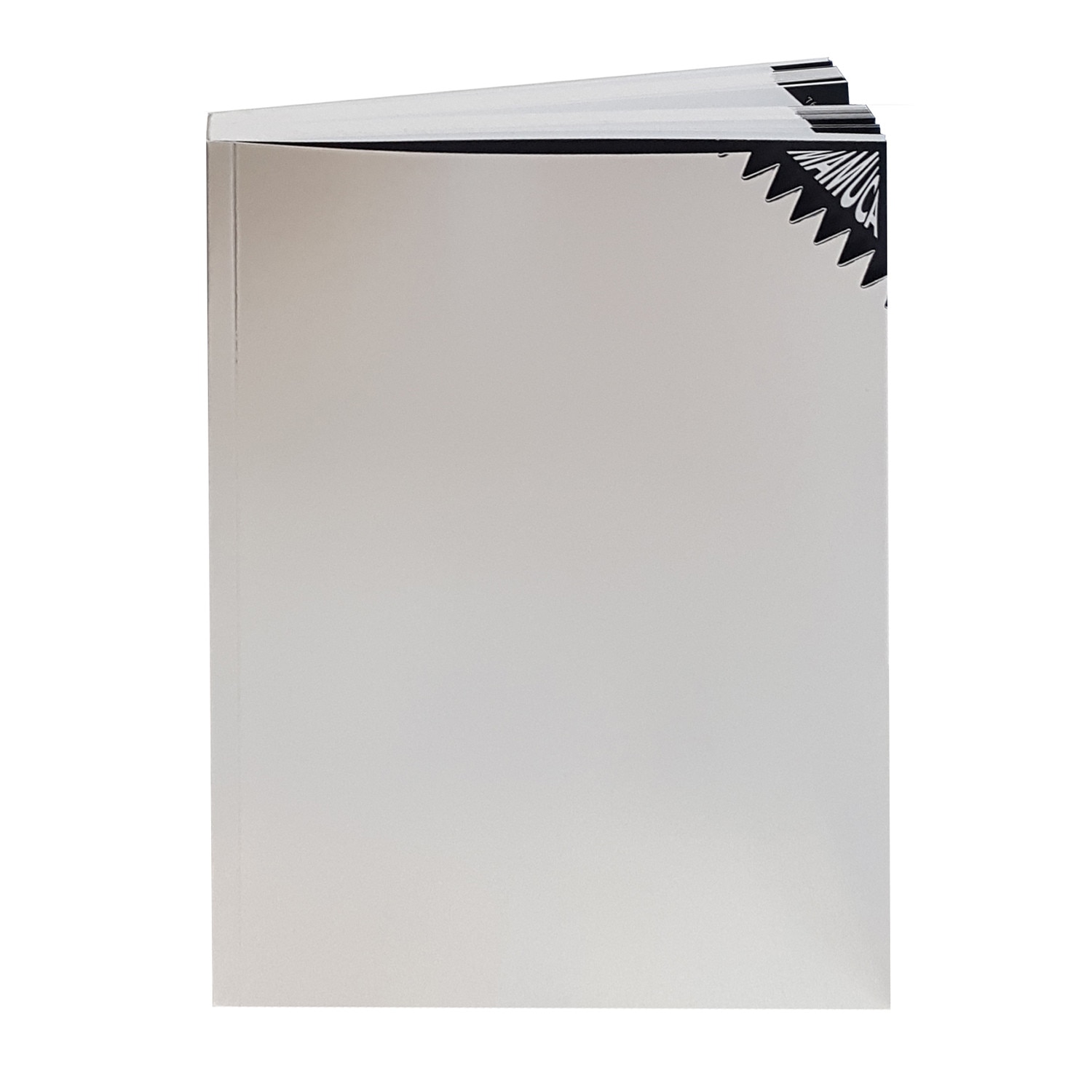 Mamuca: Mai-mult-ca-abstractul - Carola Chisiu,Silviu Dancu,Dan Popescu,Ioana Pearsica,Ioana Serban,Cristian Vechiu,Alexandra Zegrean