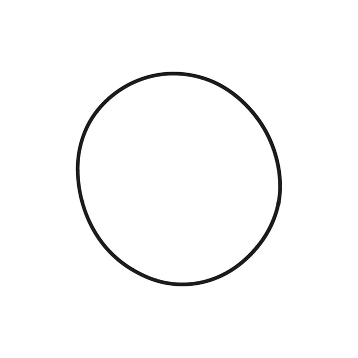 Polini Evolution P.R.E. külső hengerfej tömítés - Piaggio Zip SP, Zip 2 SP 251.0039