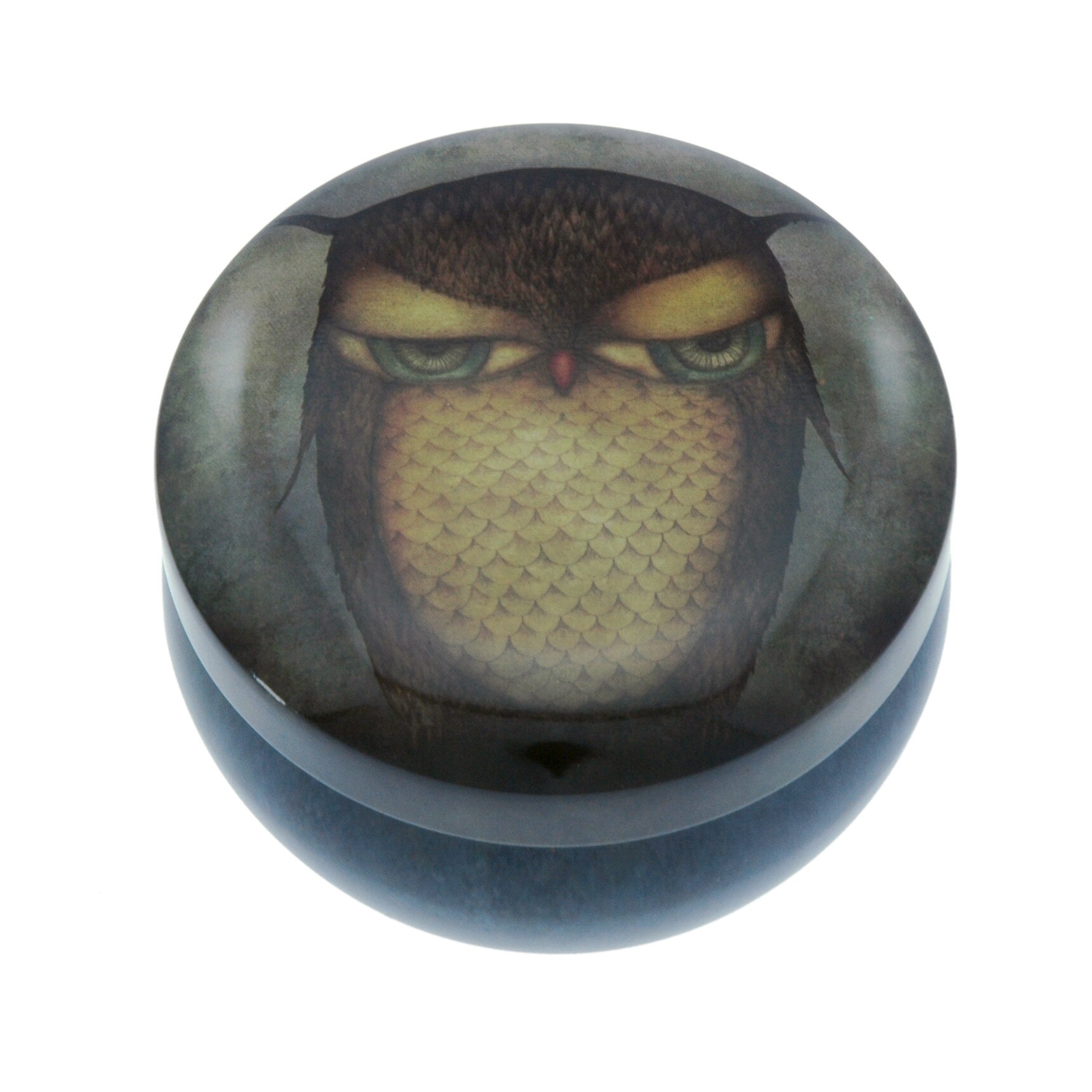 Cutie metalica de depozitare Eclectic Grumpy Owl