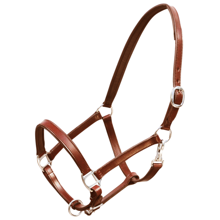 Capastru reglabil din piele naturala vidaXL, Piele, Mare, Maro